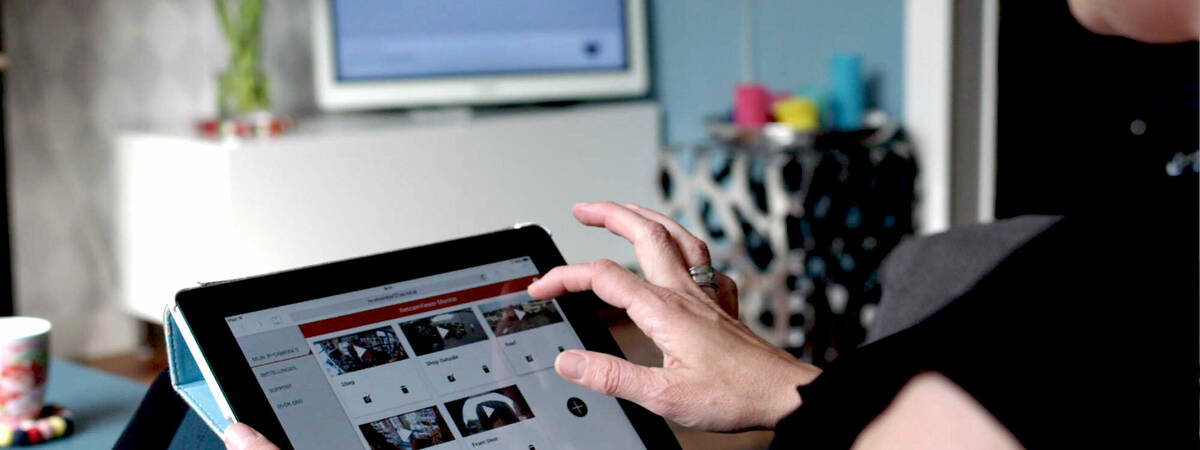 NetcamViewer Monitor